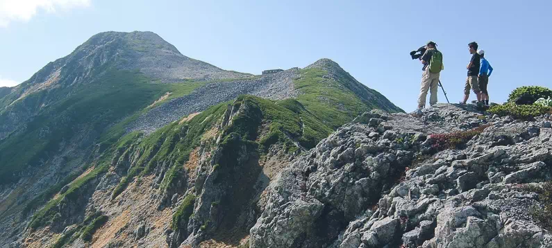 山に登る仕事